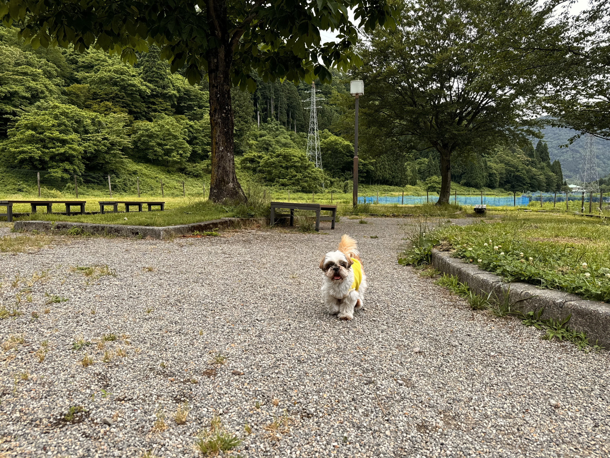 道の駅ドッグラン