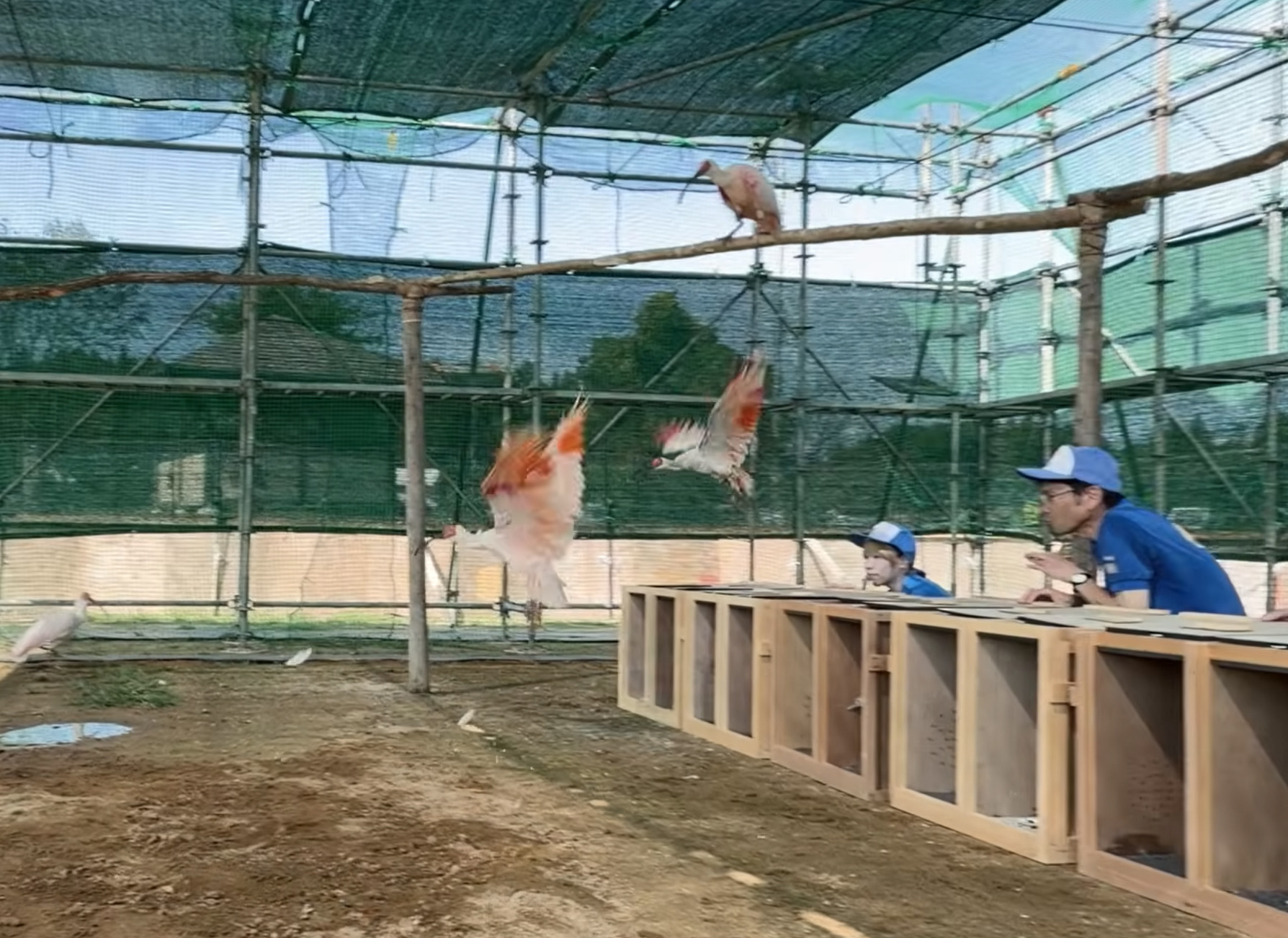 出典：石川県公式チャンネル