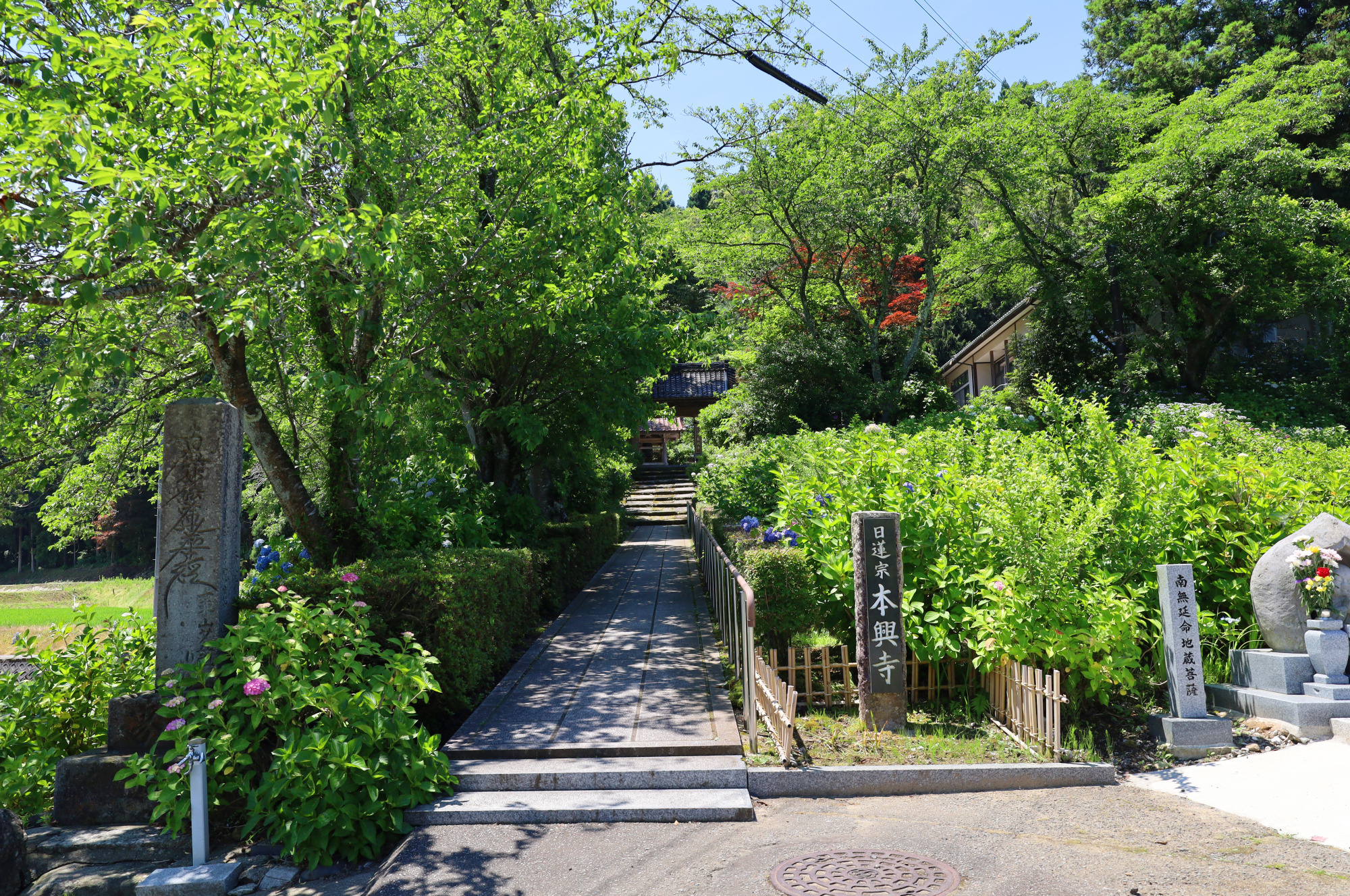 『本興寺』