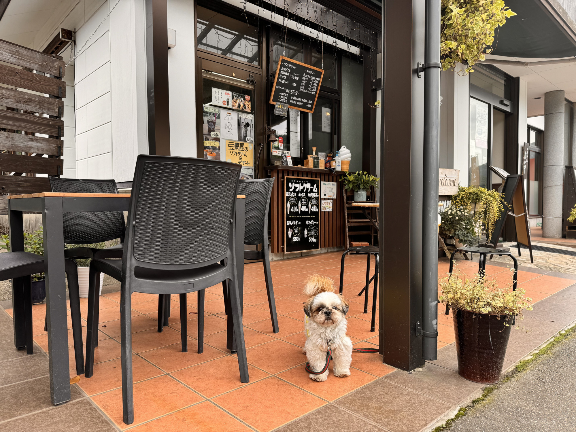 テイクアウト側テラス席