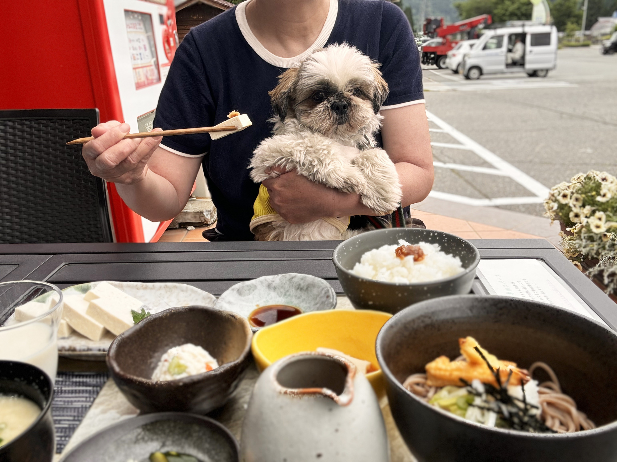 テラス席犬猫OK