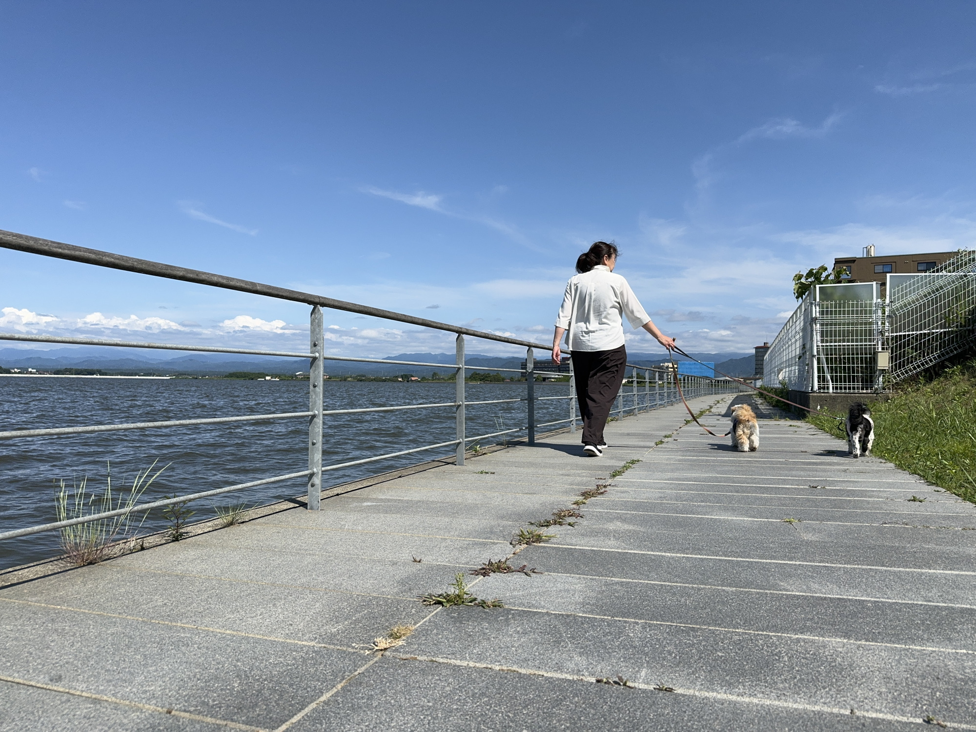 柴山潟湖畔遊歩道