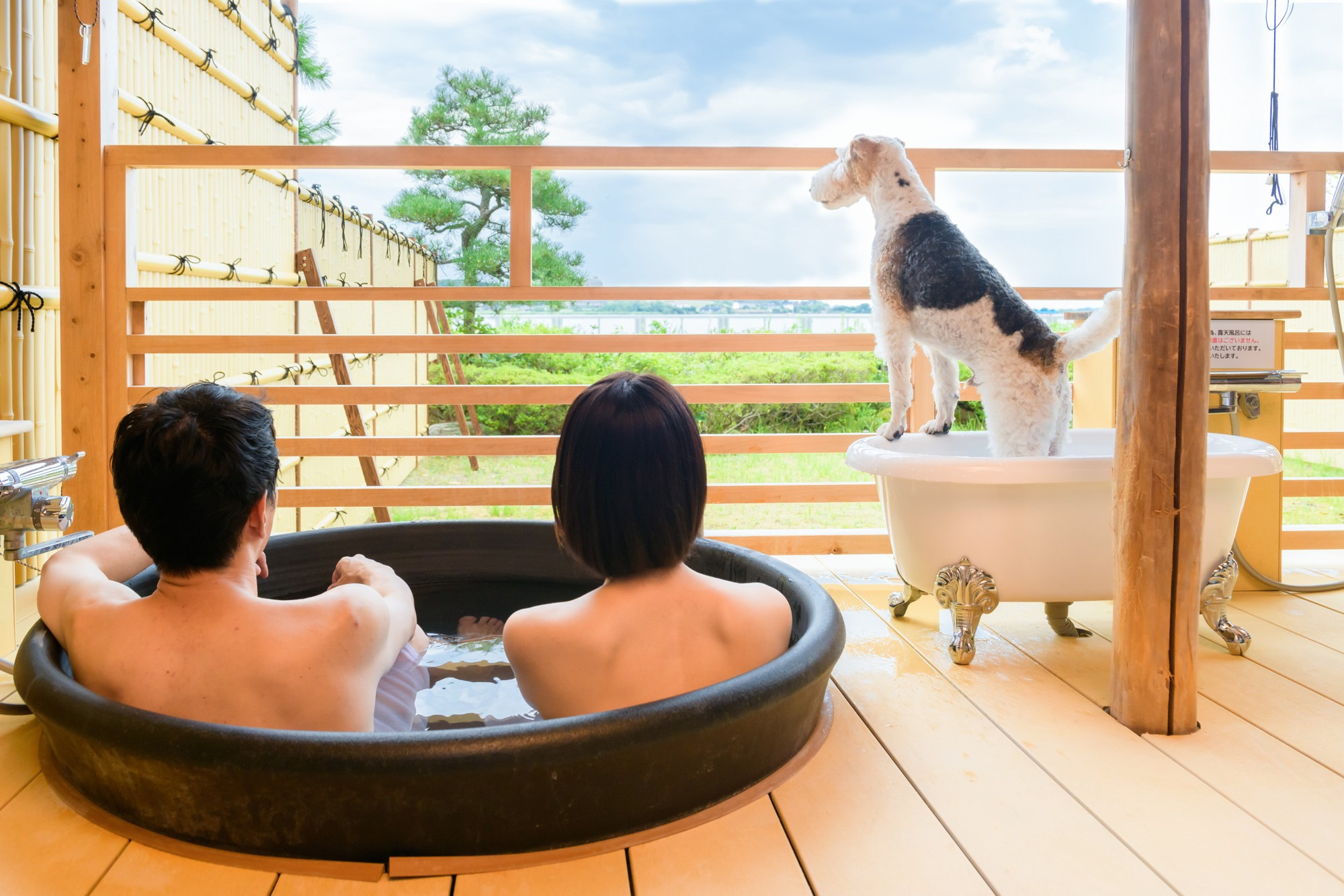 内風呂ありの和室プランも