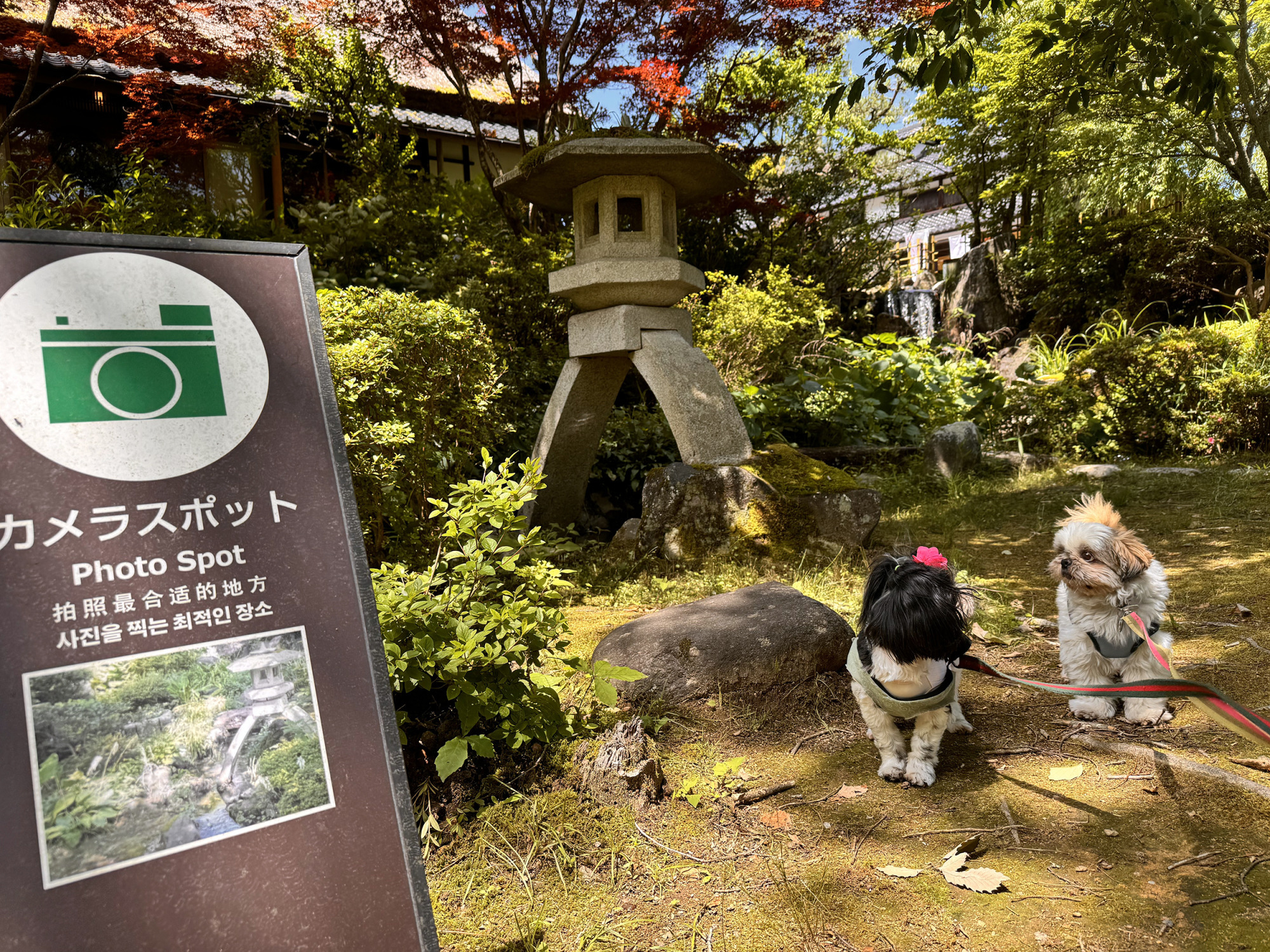 フォトスポットの庭園