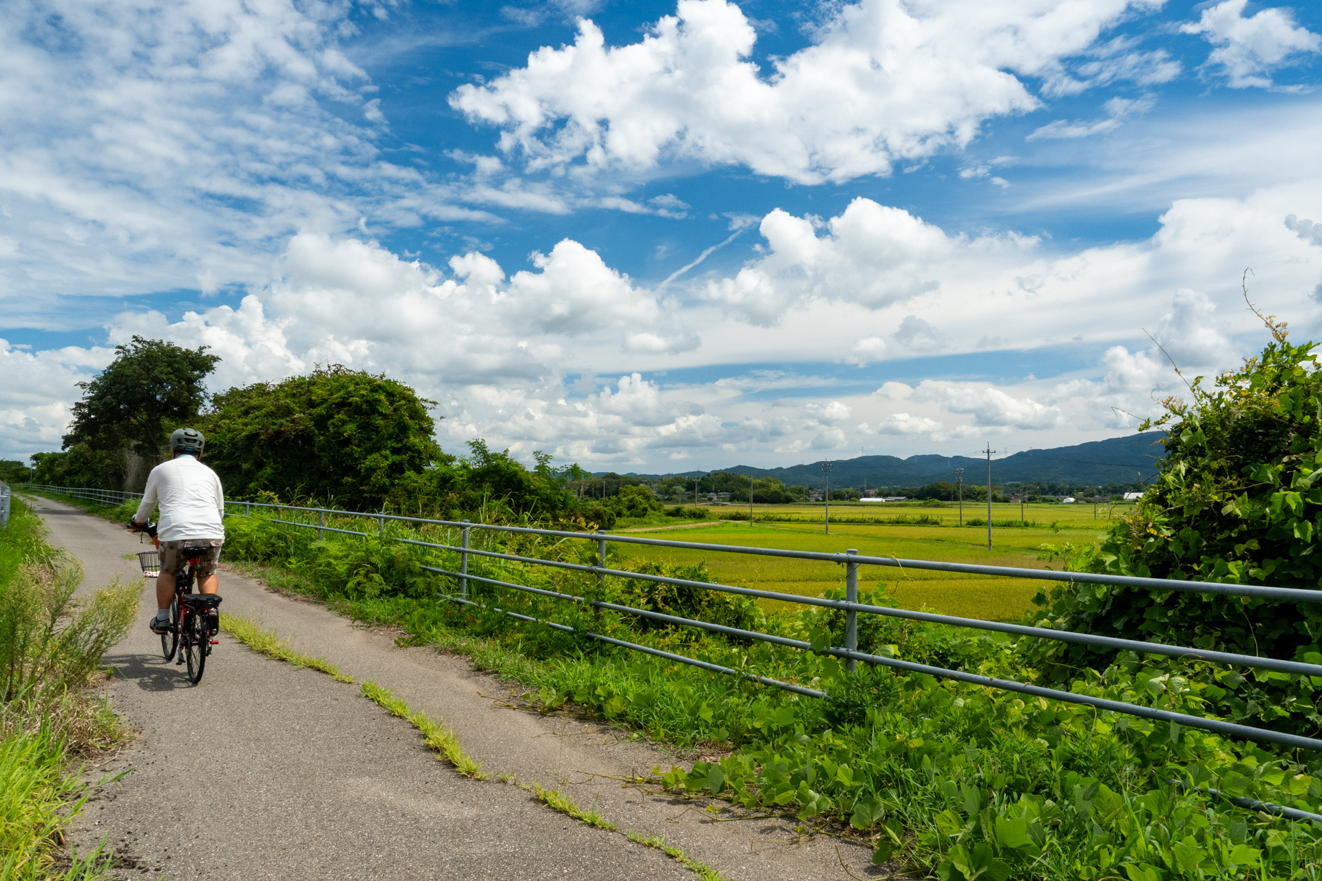 こんな田園風景もあります