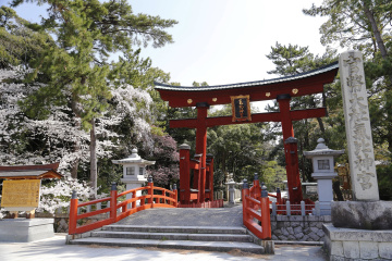 北陸道総鎮守 氣比神宮