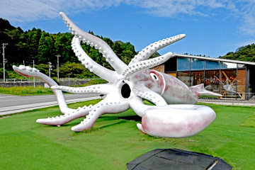 イカの駅 つくモール　