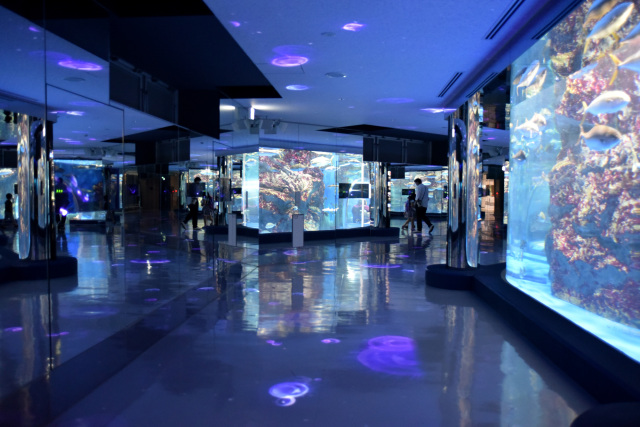 ④のとじま水族館　