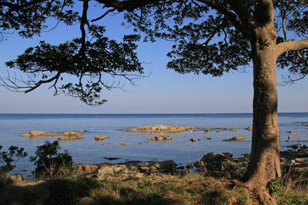 勝尾崎自然教育こどもキャンプ場（七尾市）