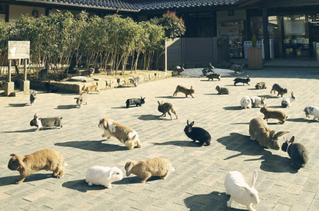 ＜山中温泉＞月うさぎの里
