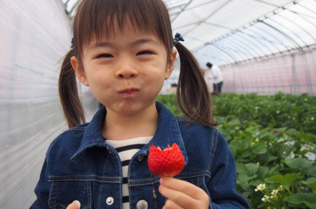 ＜山代温泉＞加賀フルーツランド
