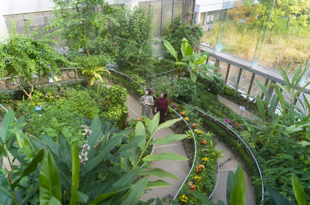 ＜美川温泉＞石川県ふれあい昆虫館