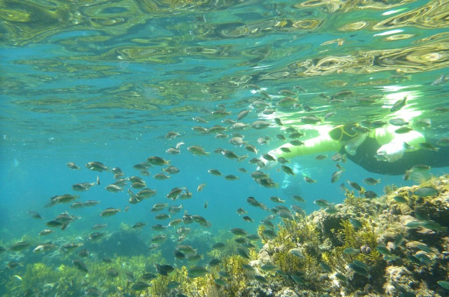 4. のと海洋ふれあいセンター　