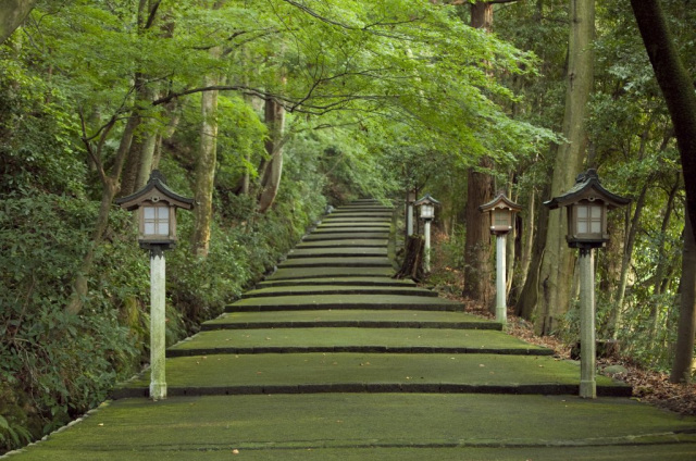 電動アシスト自転車の旅！『鶴来コース』～白山の麓で歴史と暮らしを体感～