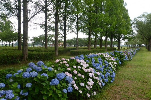 木場潟公園　中央園地（小松市）
