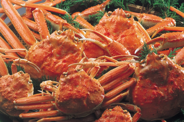 「加能（かのう）ガニ」