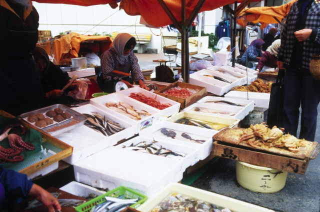 サイクリングで周遊観光！【①輪島コース】