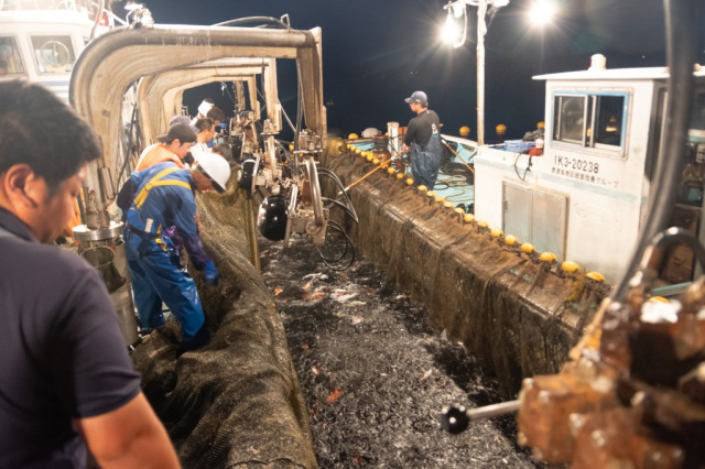 鹿渡島定置網体験（七尾市）