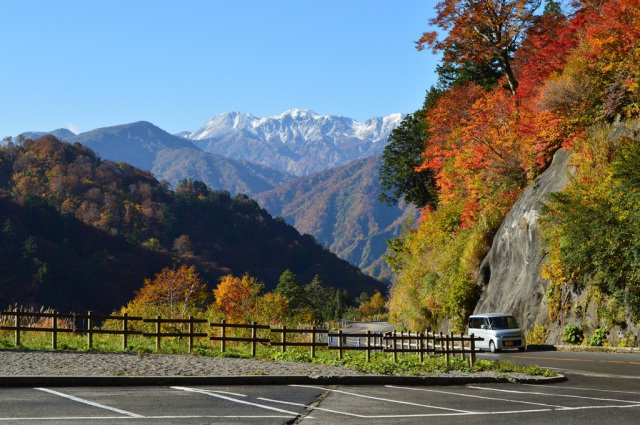白山白川郷ホワイトロード　秋の早朝ジオ・エコ散歩（白山市）