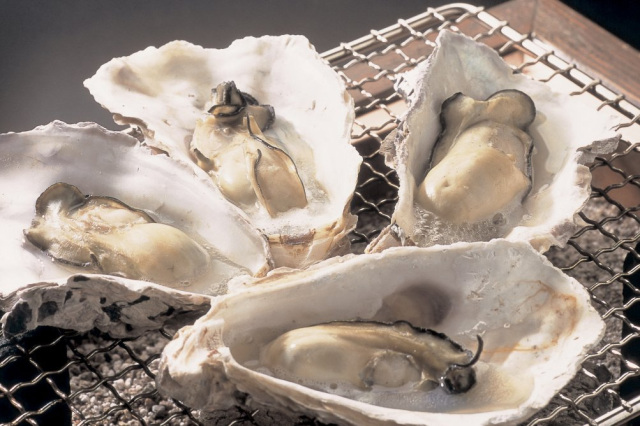 里海が育む海のミルク「能登かき」