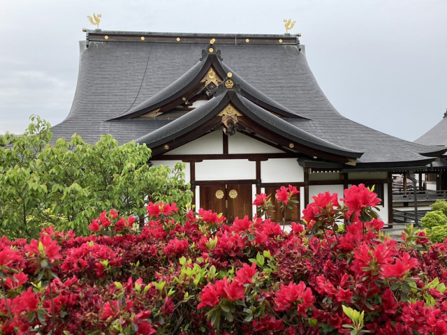 俱利迦羅不動寺 西之坊鳳凰殿と竹橋宿を散策