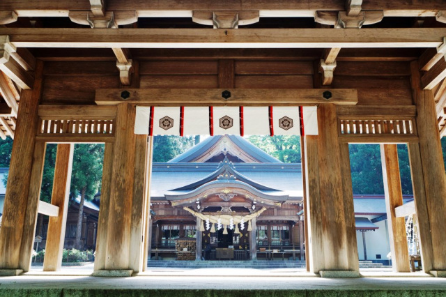 白山さんの参道を巡り、神域に触れる