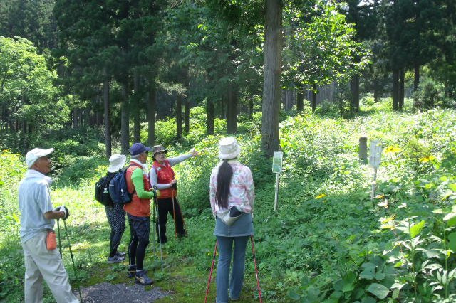 森林ウォーキング
