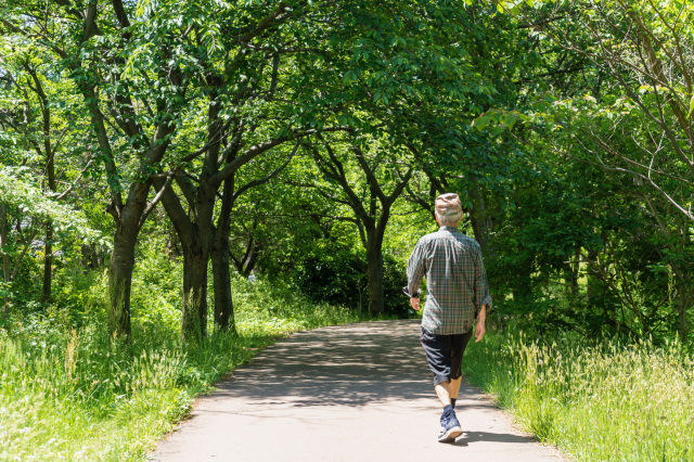 満開のアカシア林でロマンチックウォーク