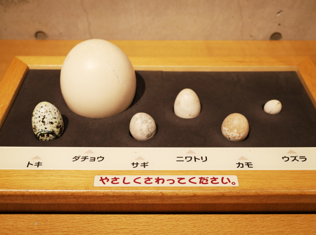 『学習展示コーナー』