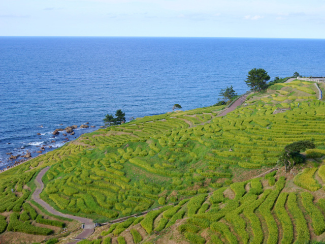 石川県民おすすめ！旅して応援、能登9選