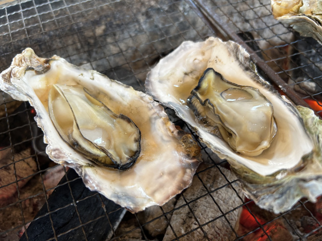 新しい特集記事を公開しました～冬の旅はカキで温まろう～