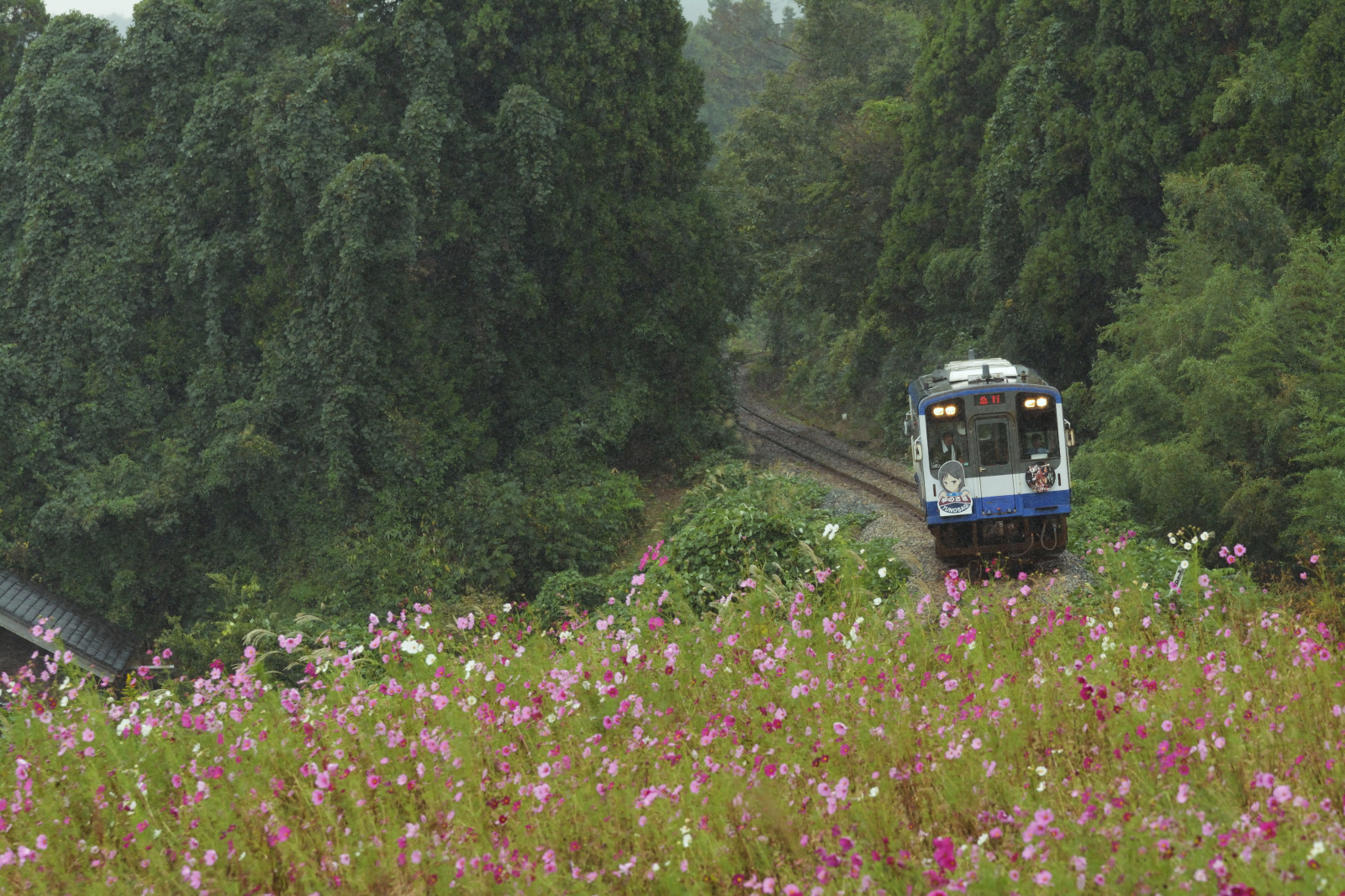 七尾市西岸地区