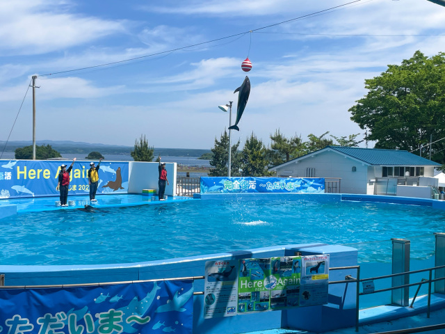 のとじま水族館の見どころ・料金・ジンベエザメ最新情報まとめ【2025年版】