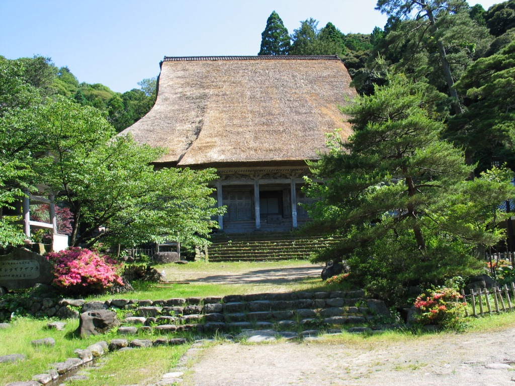 阿岸本誓寺(アギシコギクザクラ)　※令和6年能登半島地震の影響で拝観停止中