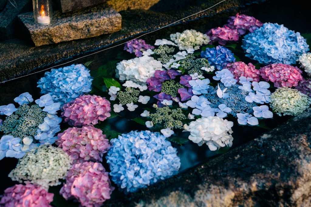 あじさい寺（平等寺）