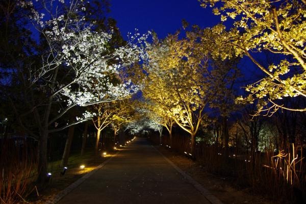 2017年4月、戸恒浩人氏によるライティングデザインプロジェクトが実現。 遠景・近景・眺望という3つの視点で設計された光のデザイン。