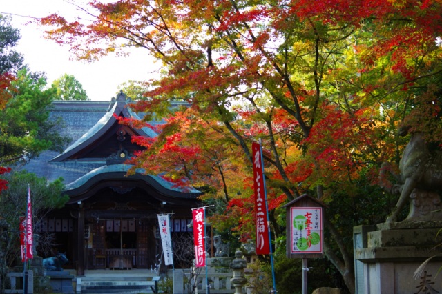 江沼神社