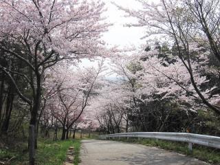 大谷峠