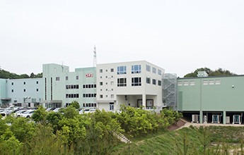 株式会社スギヨ