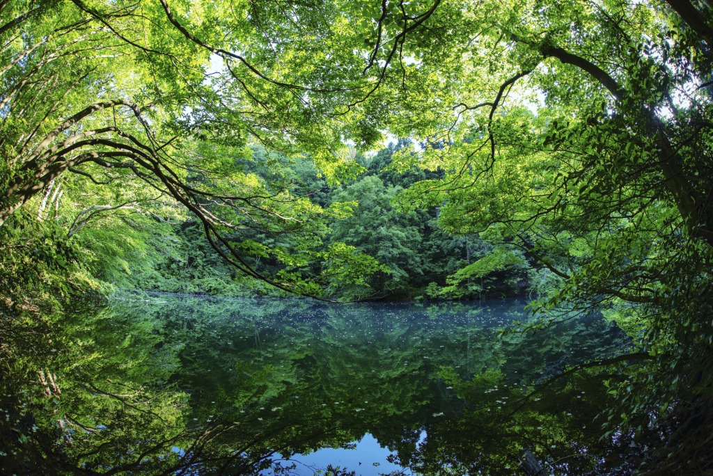 蟹淵