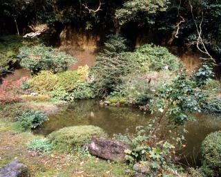 琴江院