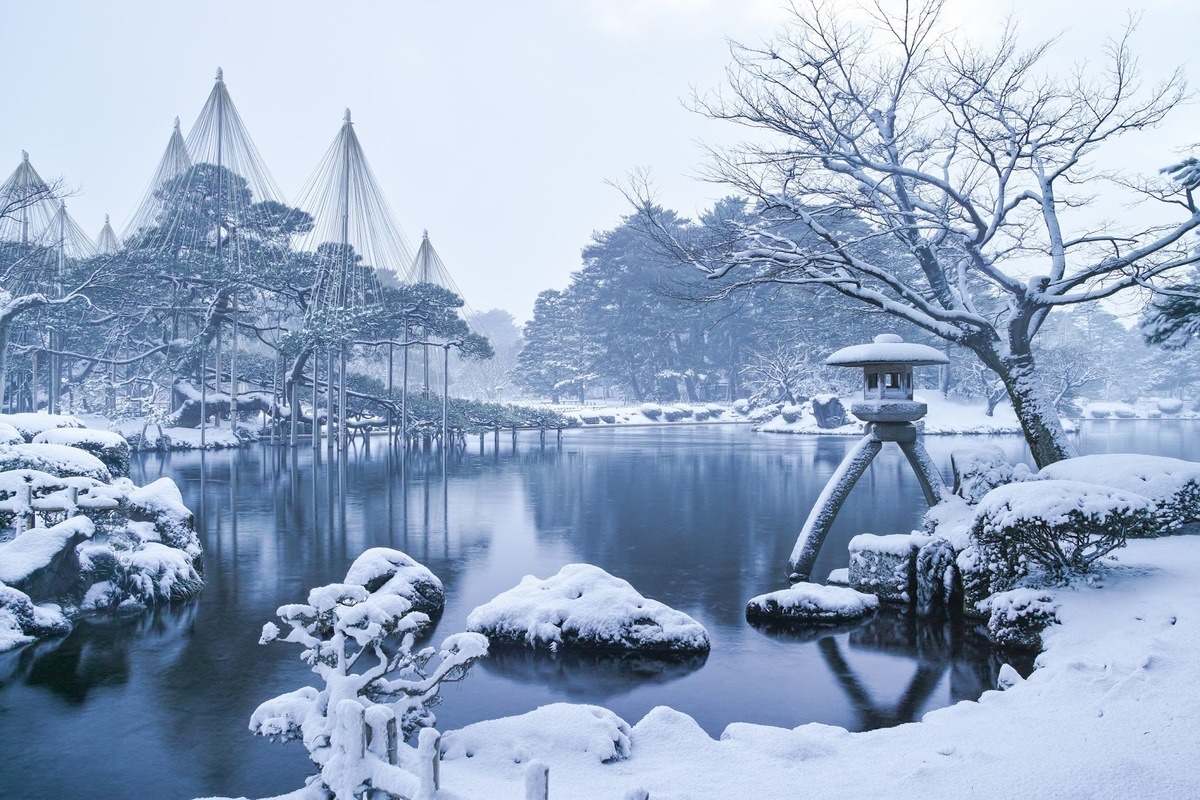 これぞ金沢の冬、唐崎松の雪吊り。