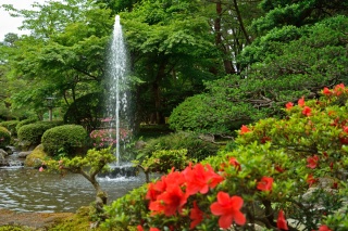 自然の水圧で上がる日本最古とされる噴水。