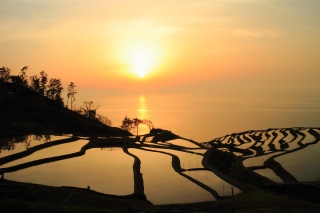 春、日本海に沈む夕日が棚田を美しく照らす。