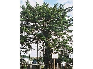 地福院