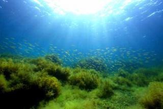 能登島ダイビングリゾート