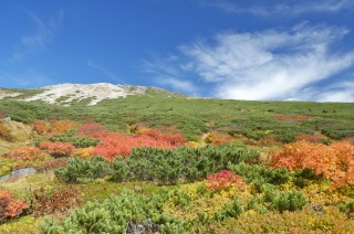 紅葉に美しく彩られる白山。