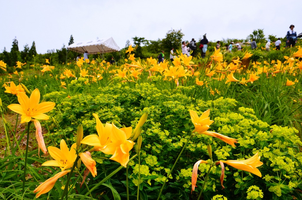 白山高山植物園