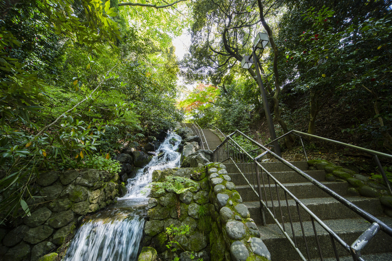 ■極希少 江戸前期■石川県能登 合鹿丸盆 合鹿地方 古根来 上部直径約32ｃｍ 美術の小径・緑の小径｜スポット｜【公式】石川県の観光/旅行サイト