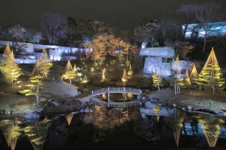 ライトアップ・宵の庭
